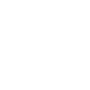 Successful Prosecution